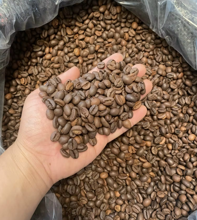 CÀ PHÊ HẠT ROBUSTA